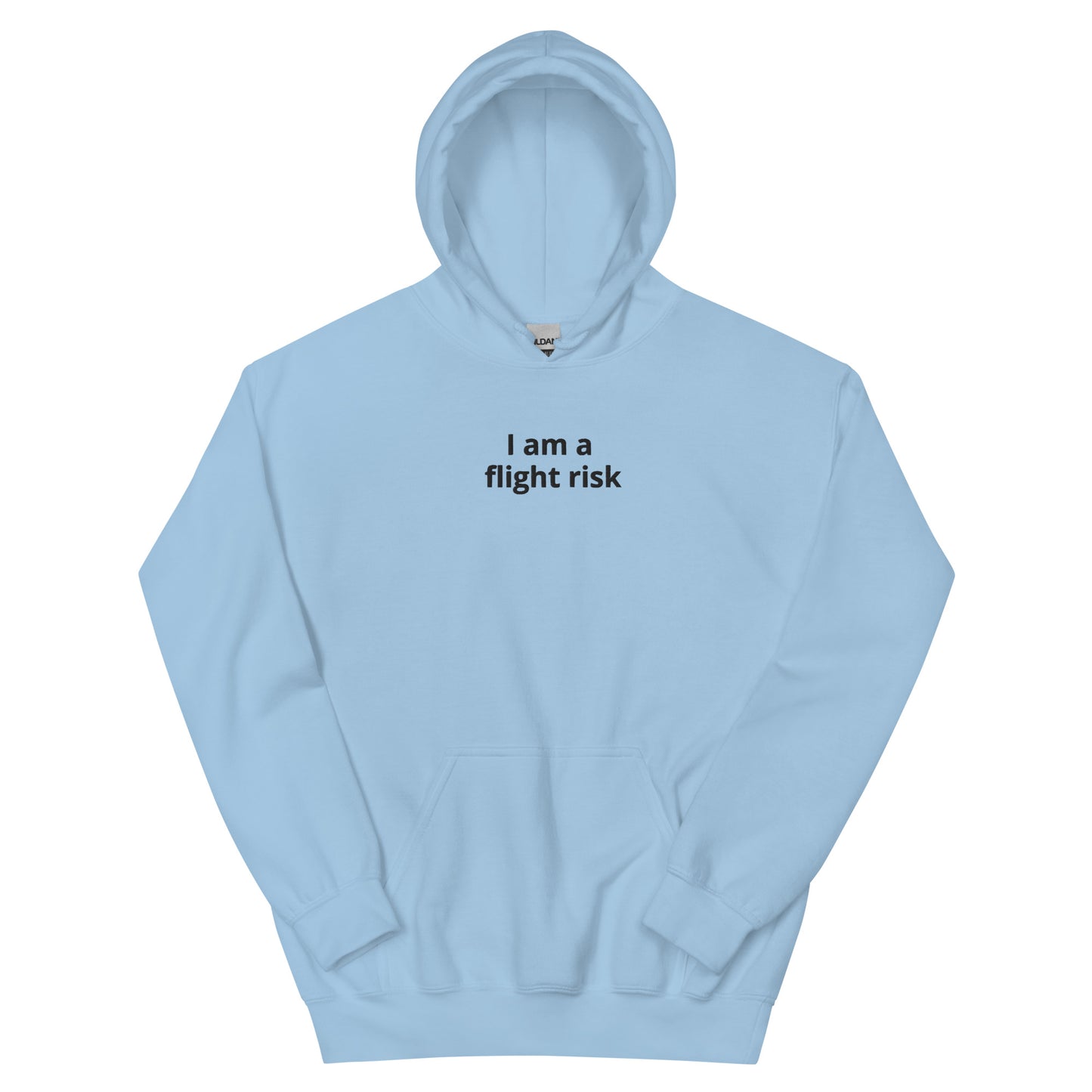 flight risk Hoodie